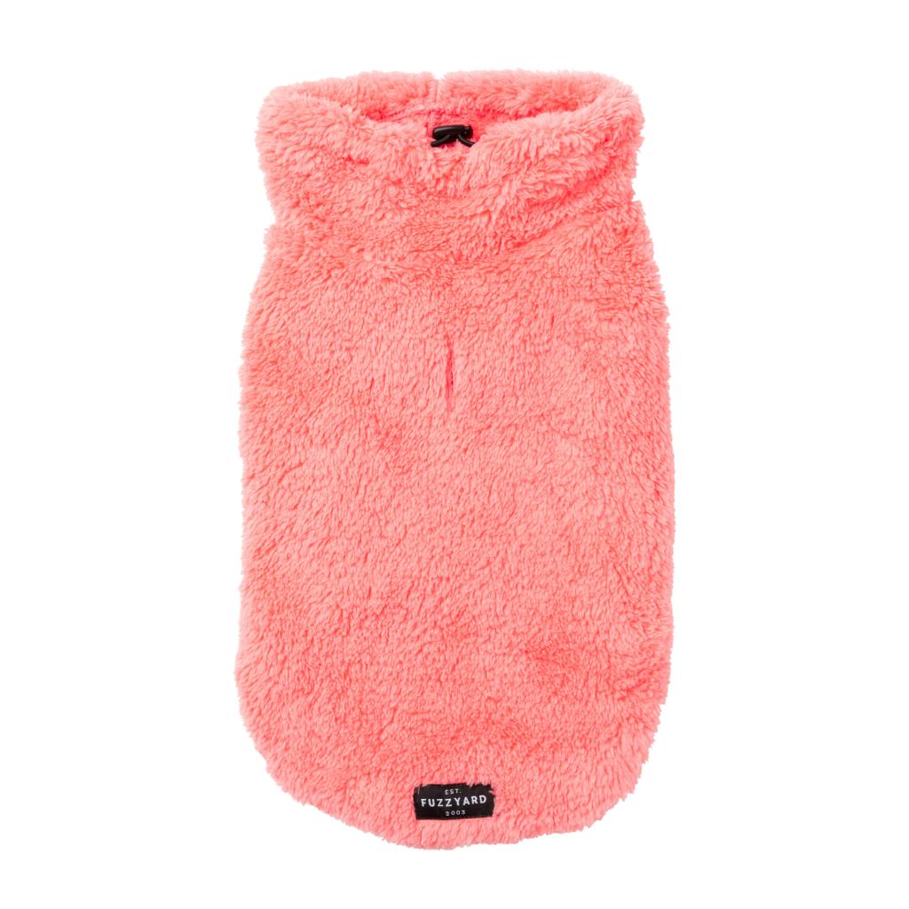 Tortue Teddy Pêche