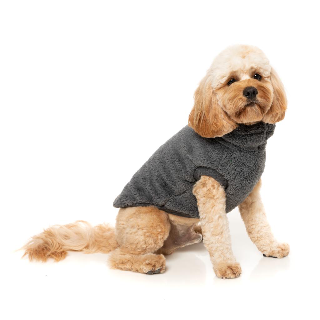 Tortue Teddy Charbon