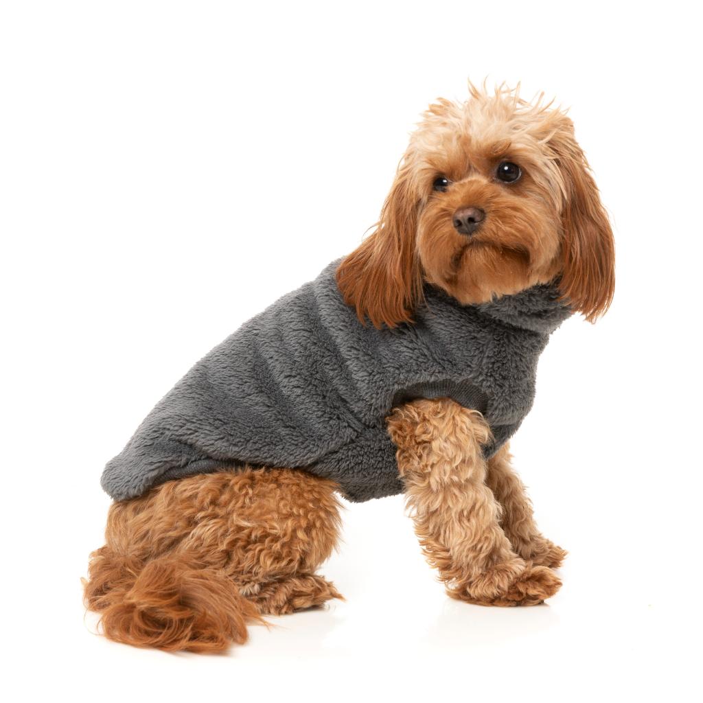Tortue Teddy Charbon