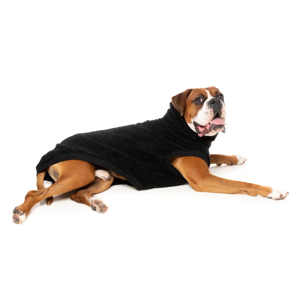 Teddy Tortue Noir