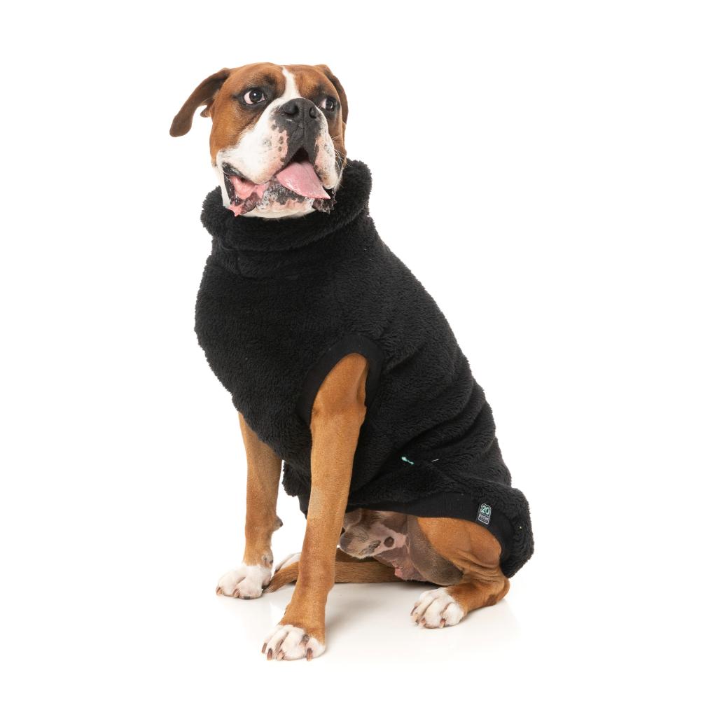 Teddy Tortue Noir