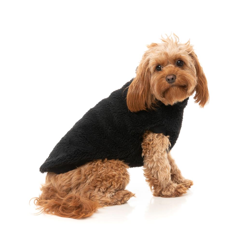 Teddy Tortue Noir