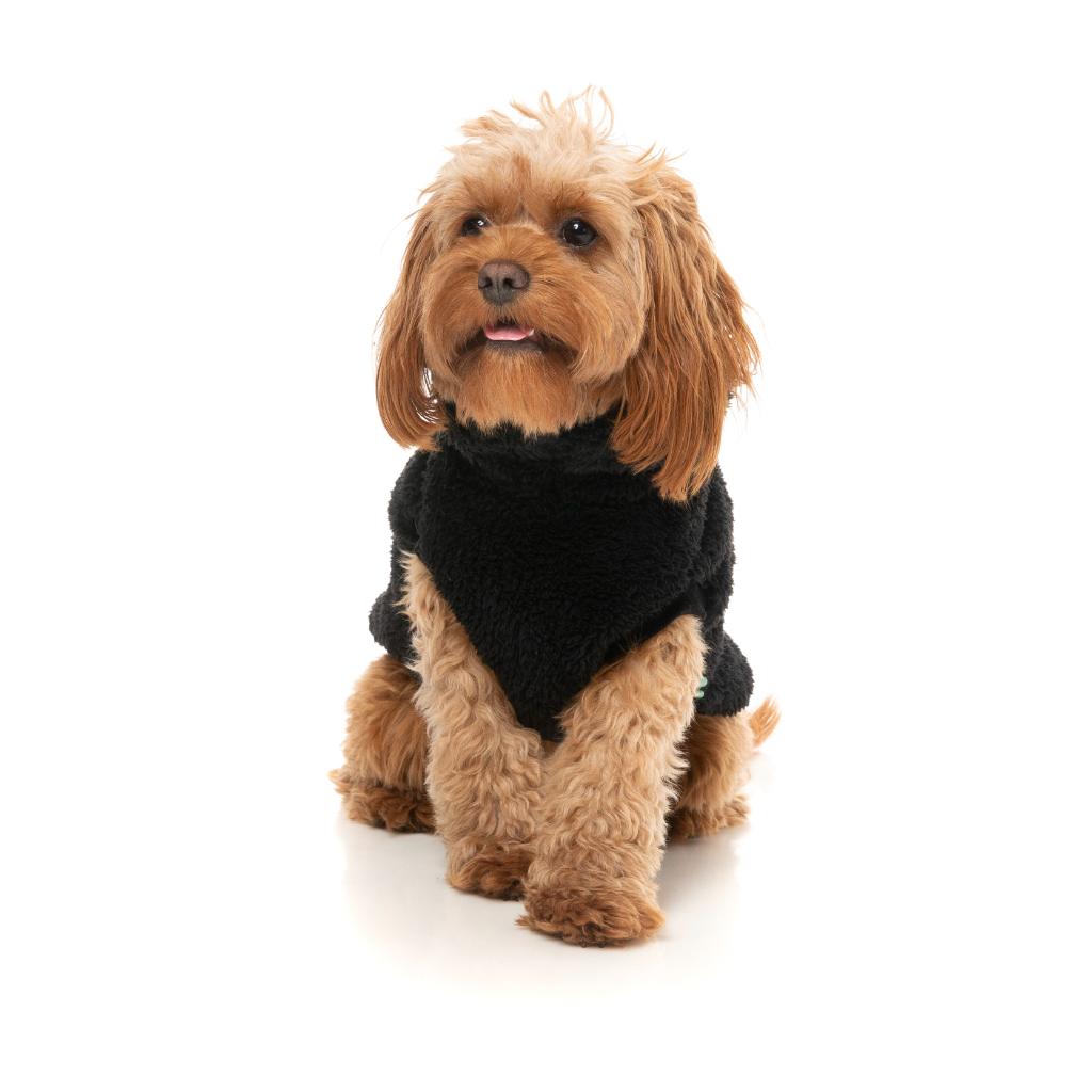 Teddy Tortue Noir