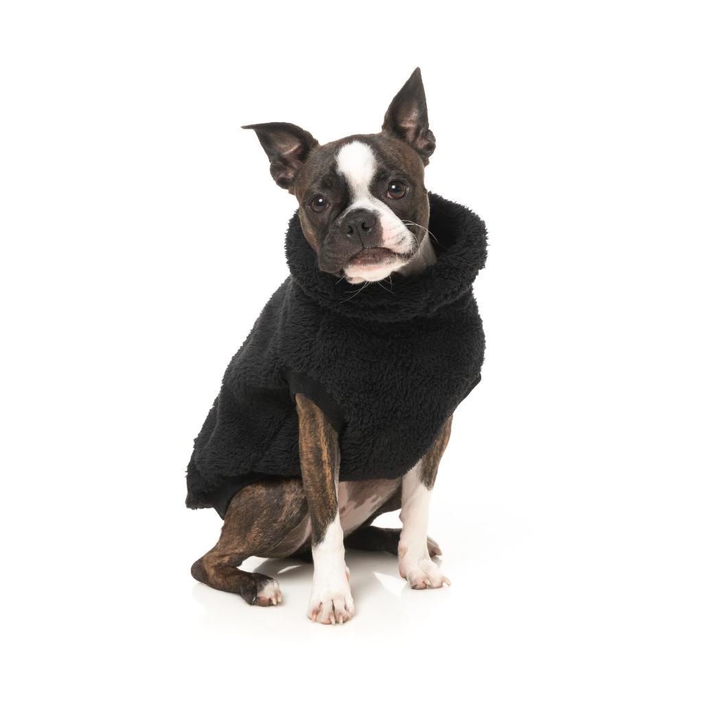 Teddy Tortue Noir