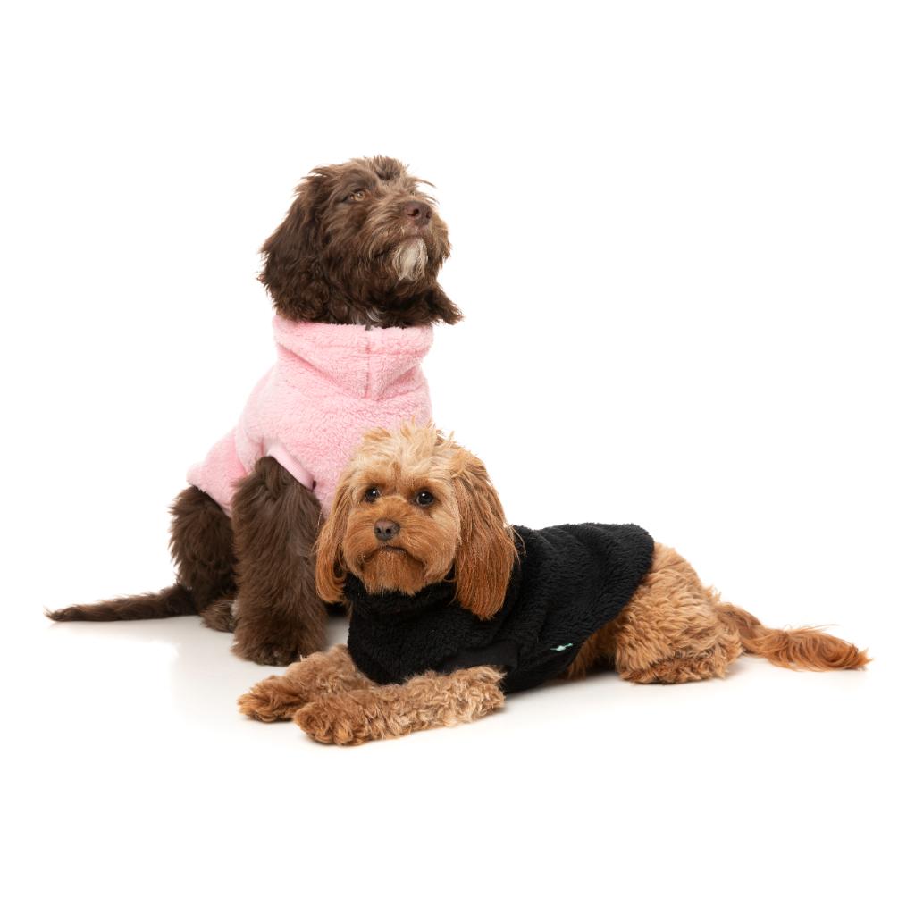 Teddy Tortue Noir