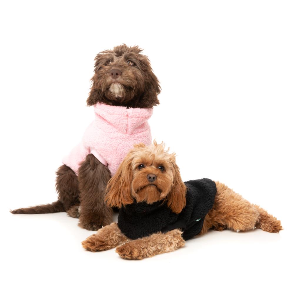 Teddy Tortue Noir