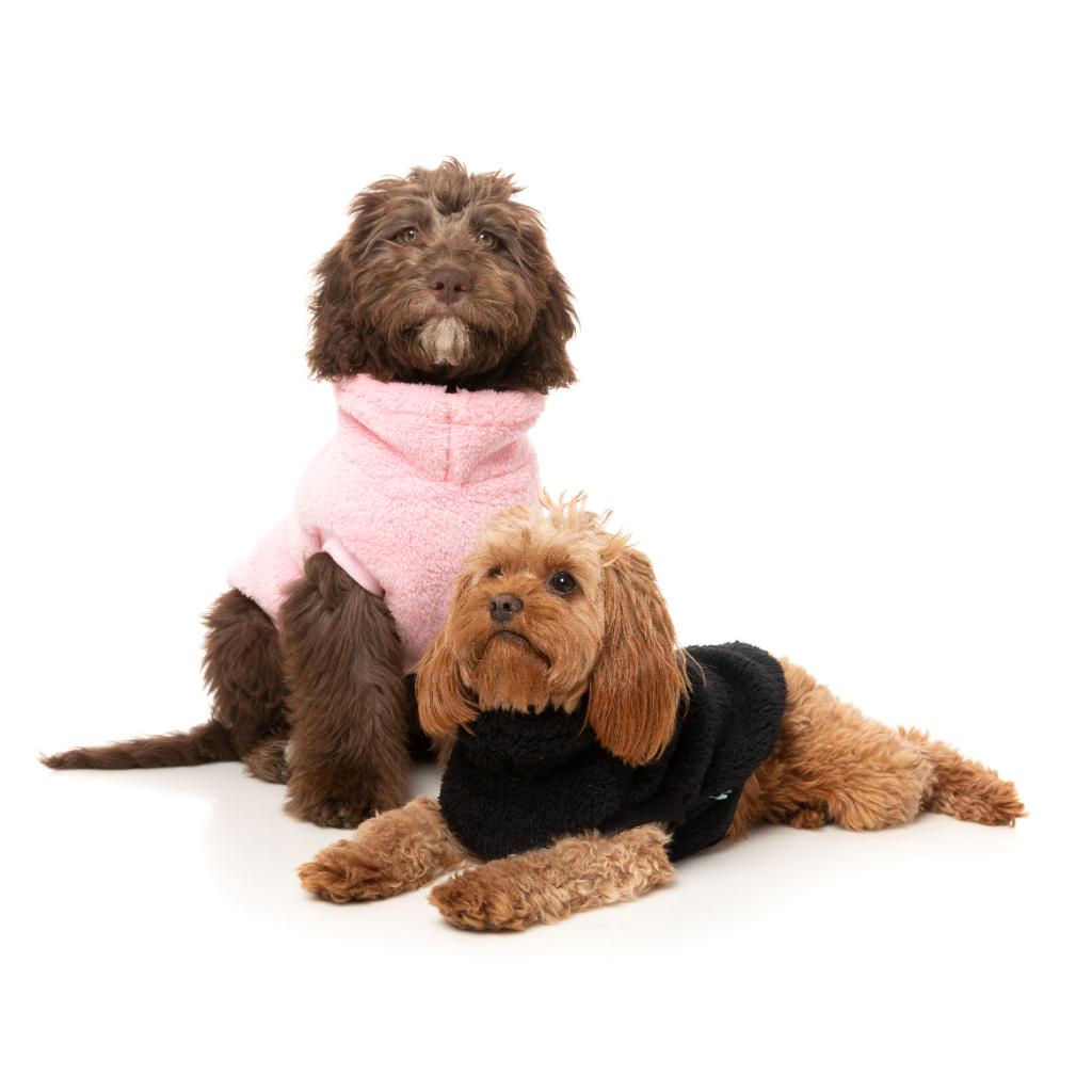 Teddy Tortue Noir