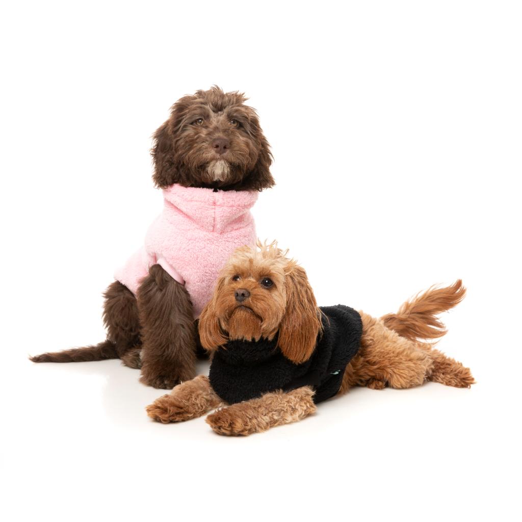 Teddy Tortue Noir