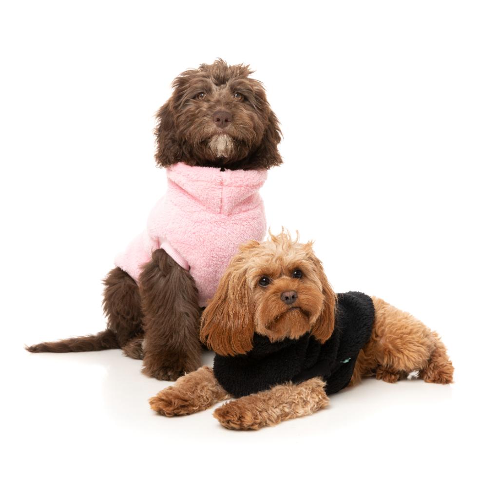 Teddy Tortue Noir