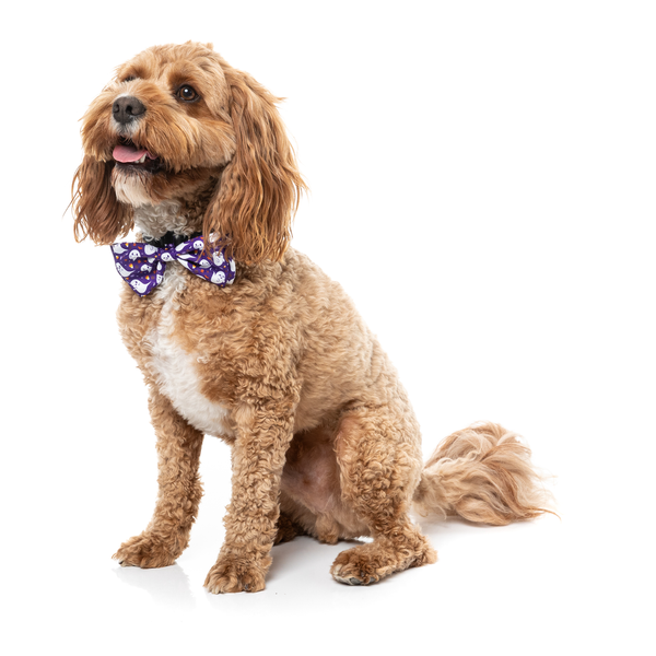 Spooky Spirits - Nœud papillon pour chiens et chats