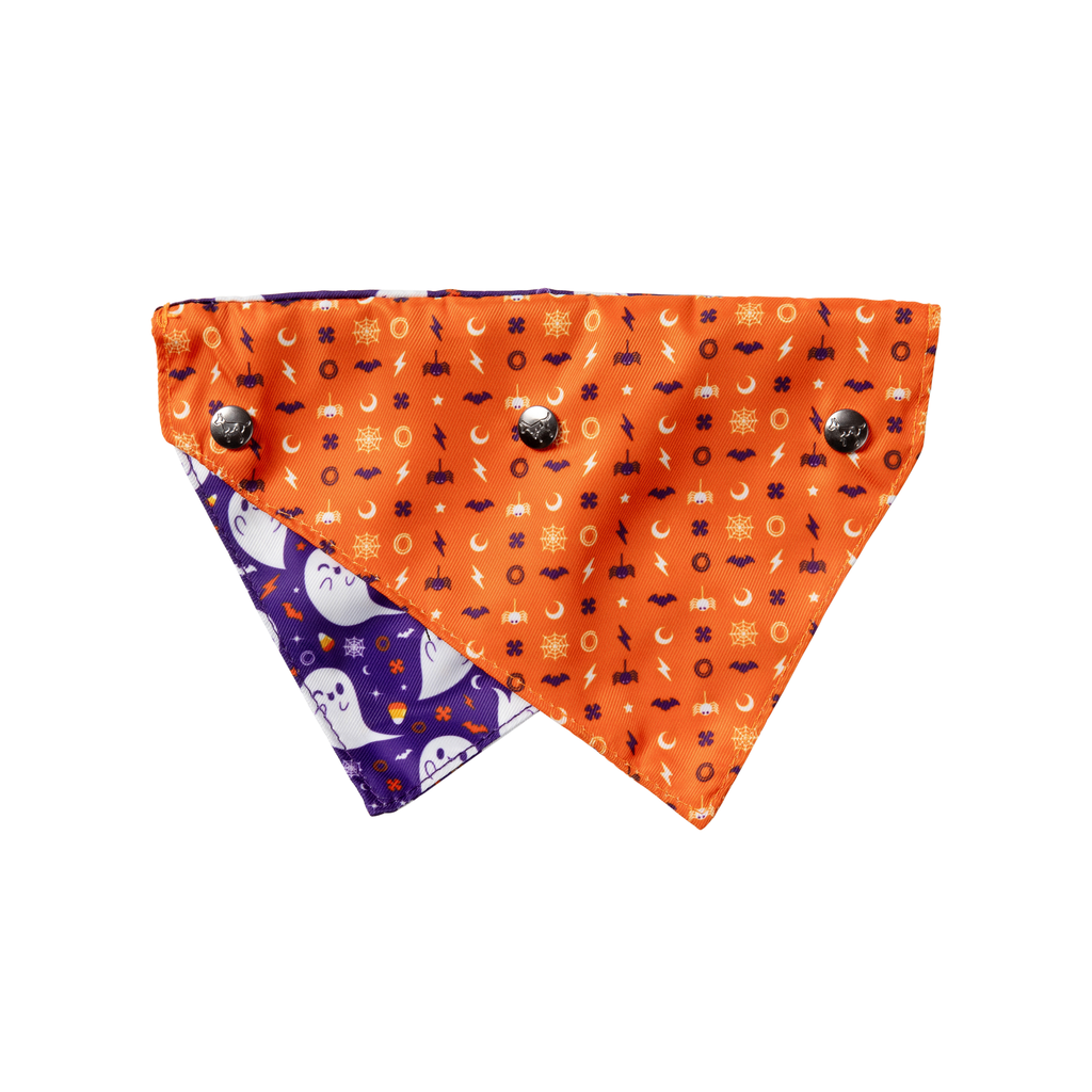 Spooky Spirits - Bandana pour chiens et chats