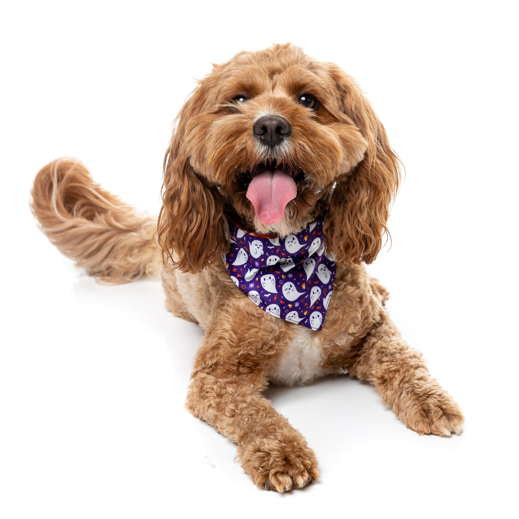 Spooky Spirits - Bandana pour chiens et chats