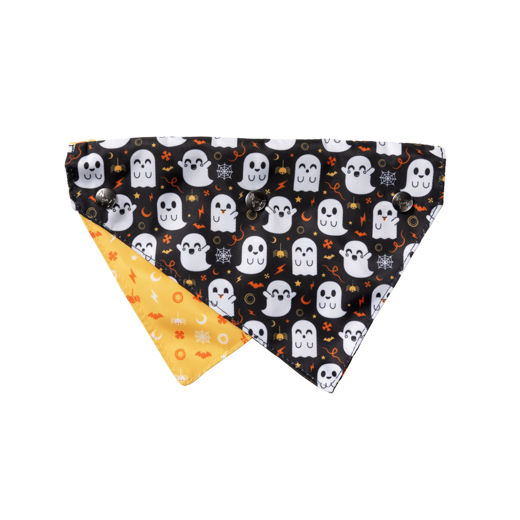 Peek-A-Boo - Bandana pour chiens et chats