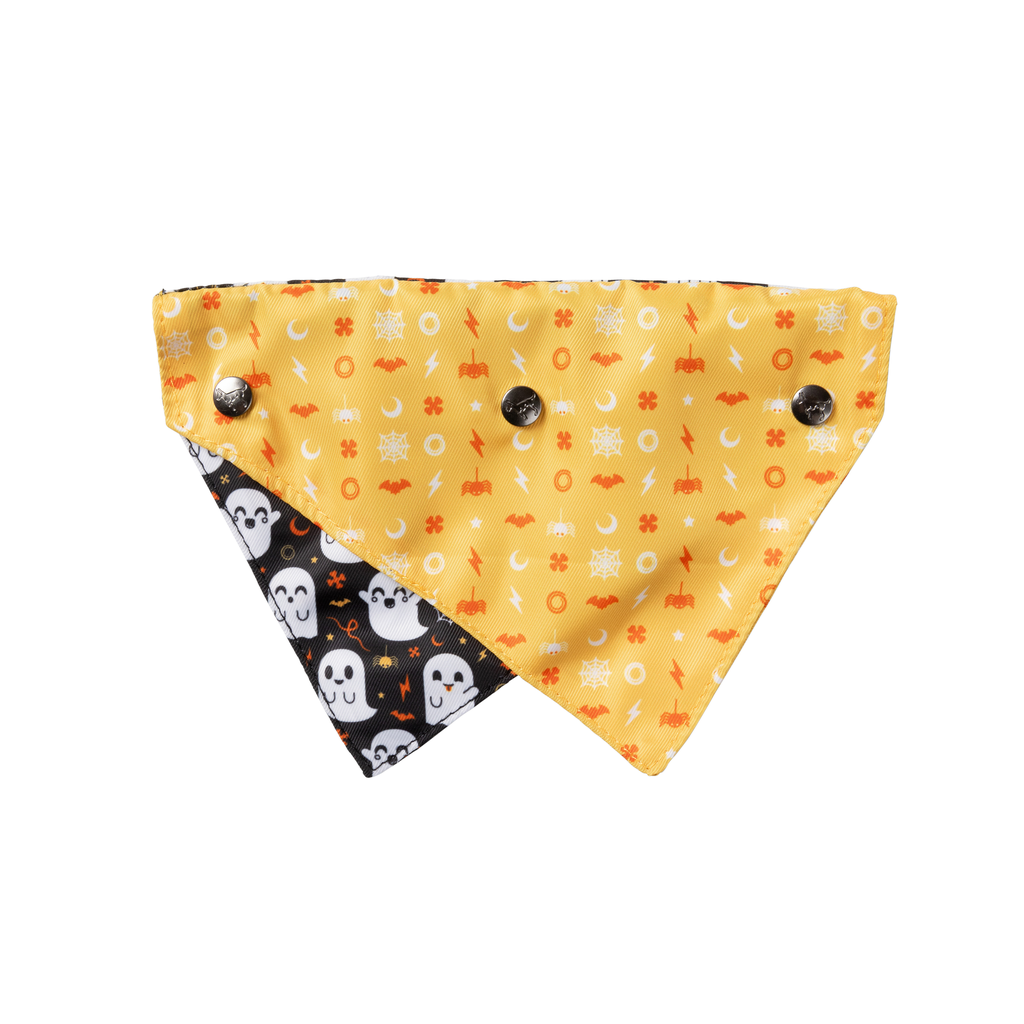 Peek-A-Boo - Bandana pour chiens et chats