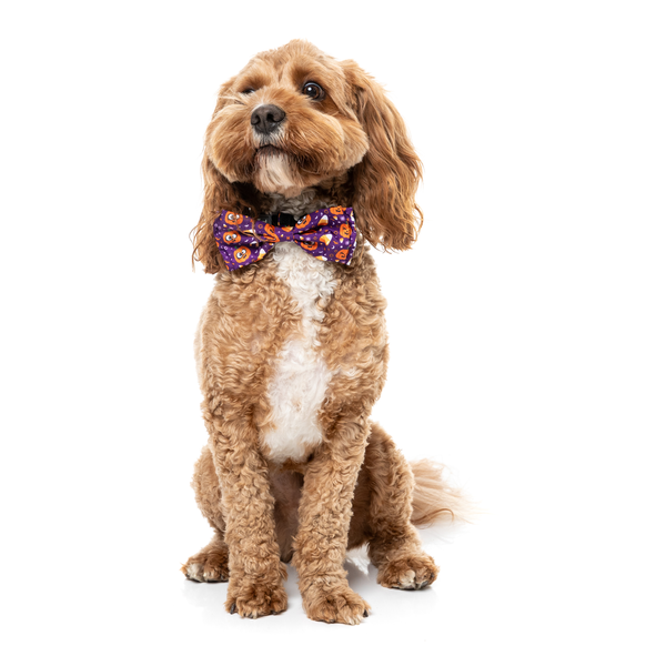 Goofy Gourds - Nœud papillon pour chiens et chats