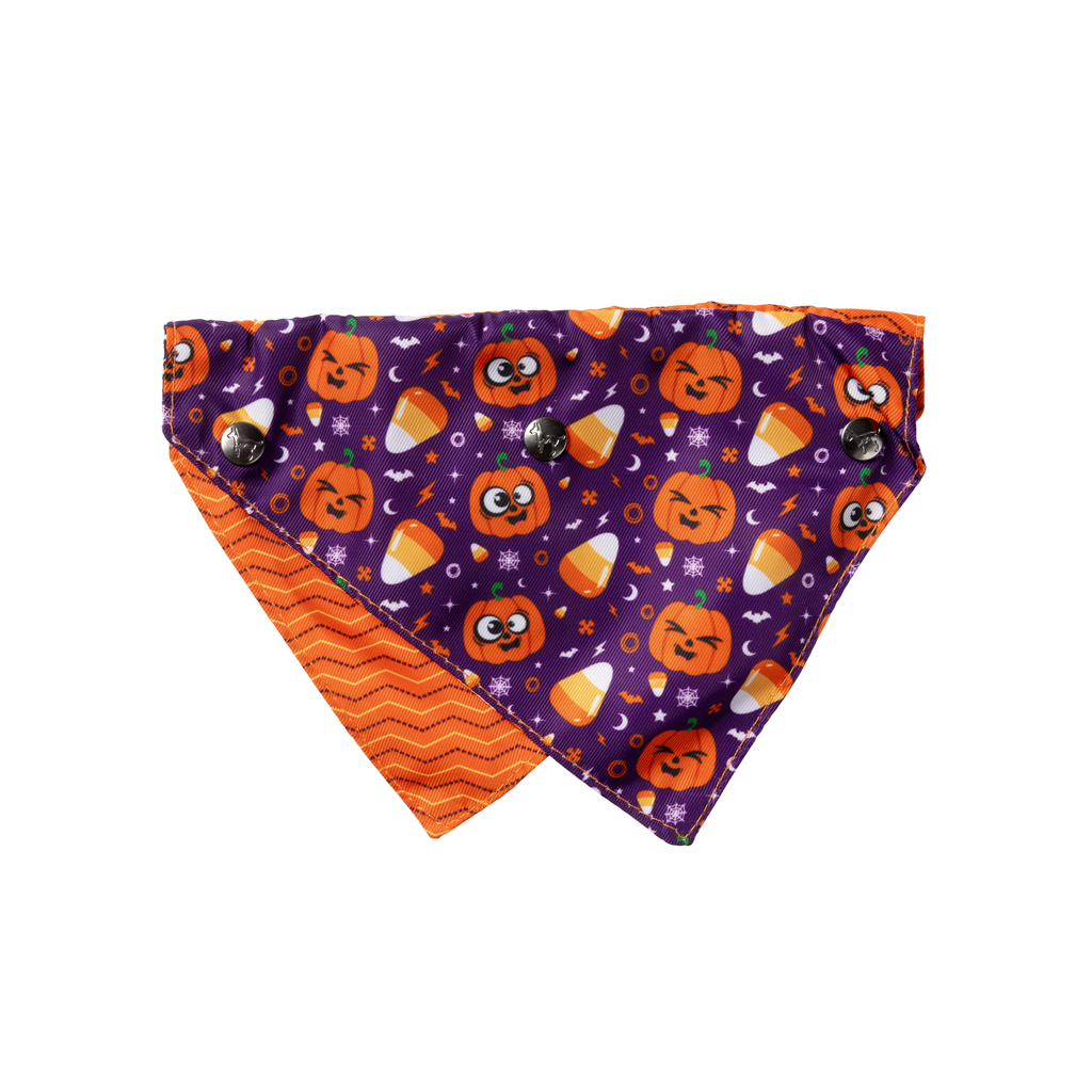Bandana de Halloween para perros y gatos FuzzYard Goofy Gourds