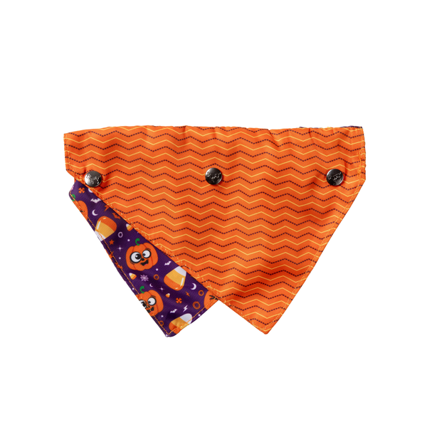 Goofy Gourds - Bandana para perros y gatos