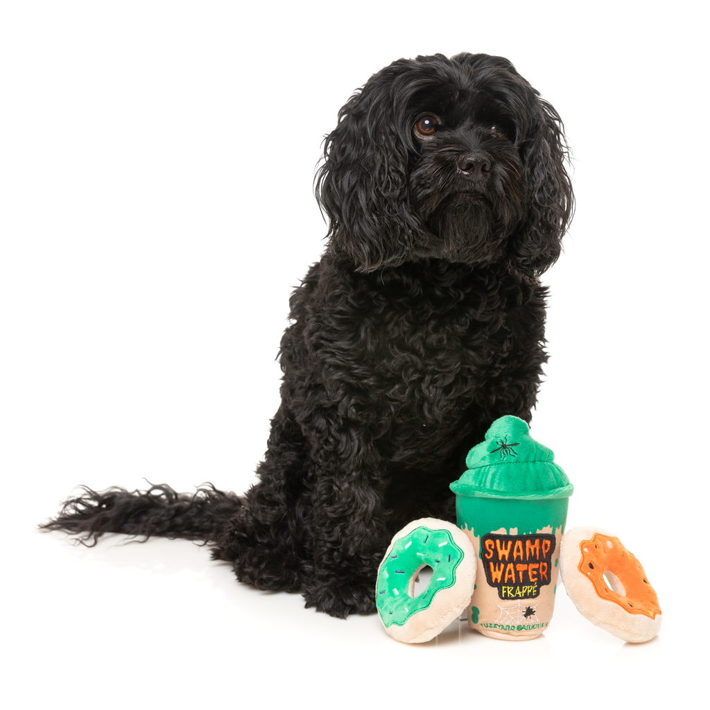 SWAMP WATER FRAPPE & DONUTS 3PK - JOUET POUR CHIENS