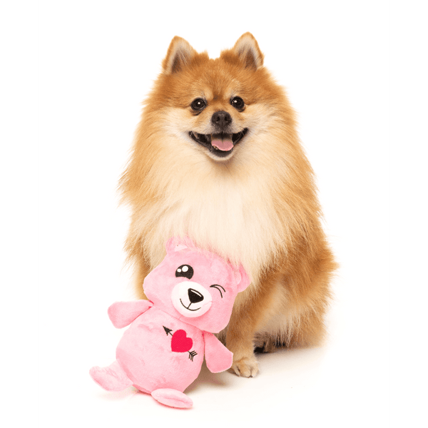 Nothing Butt Love Bear - Jouet de la collection Love - Jouet pour chien