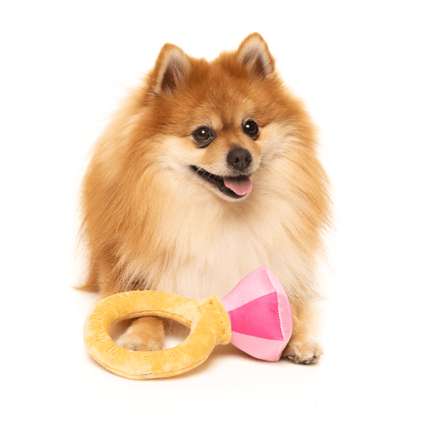 Bague « Diamond In The Ruff » - Collection Love Toy - Jouet pour chien