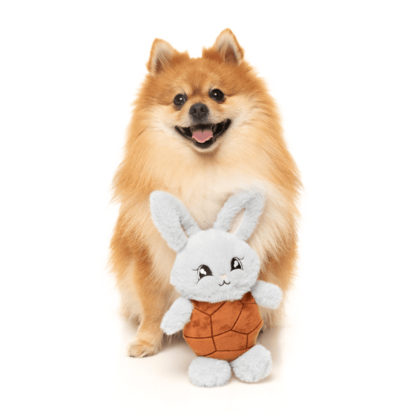 Choc Belly Bunny - Jouet pour chien