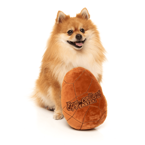 Œuf de Pâques géant - Jouet pour chien