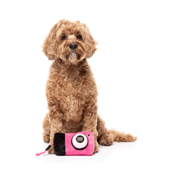 Digicam - Y2K Slumber Party - Jouet pour chien