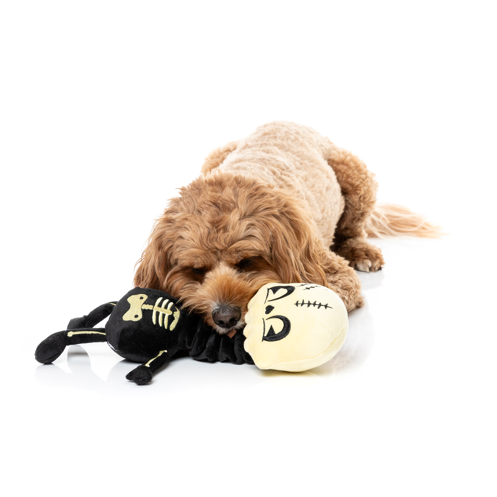 JERRY SPINEFELD - JOUET POUR CHIENS