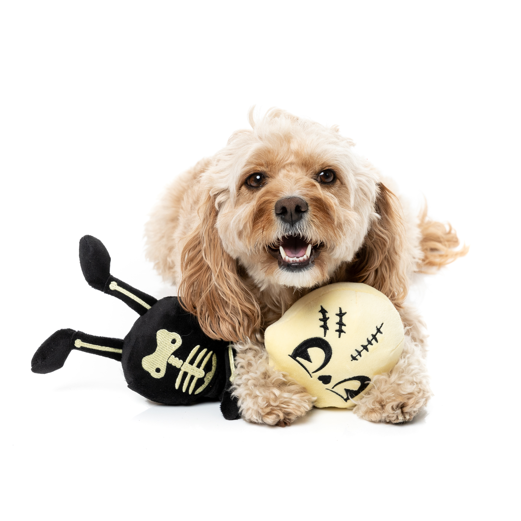 JERRY SPINEFELD - JOUET POUR CHIENS