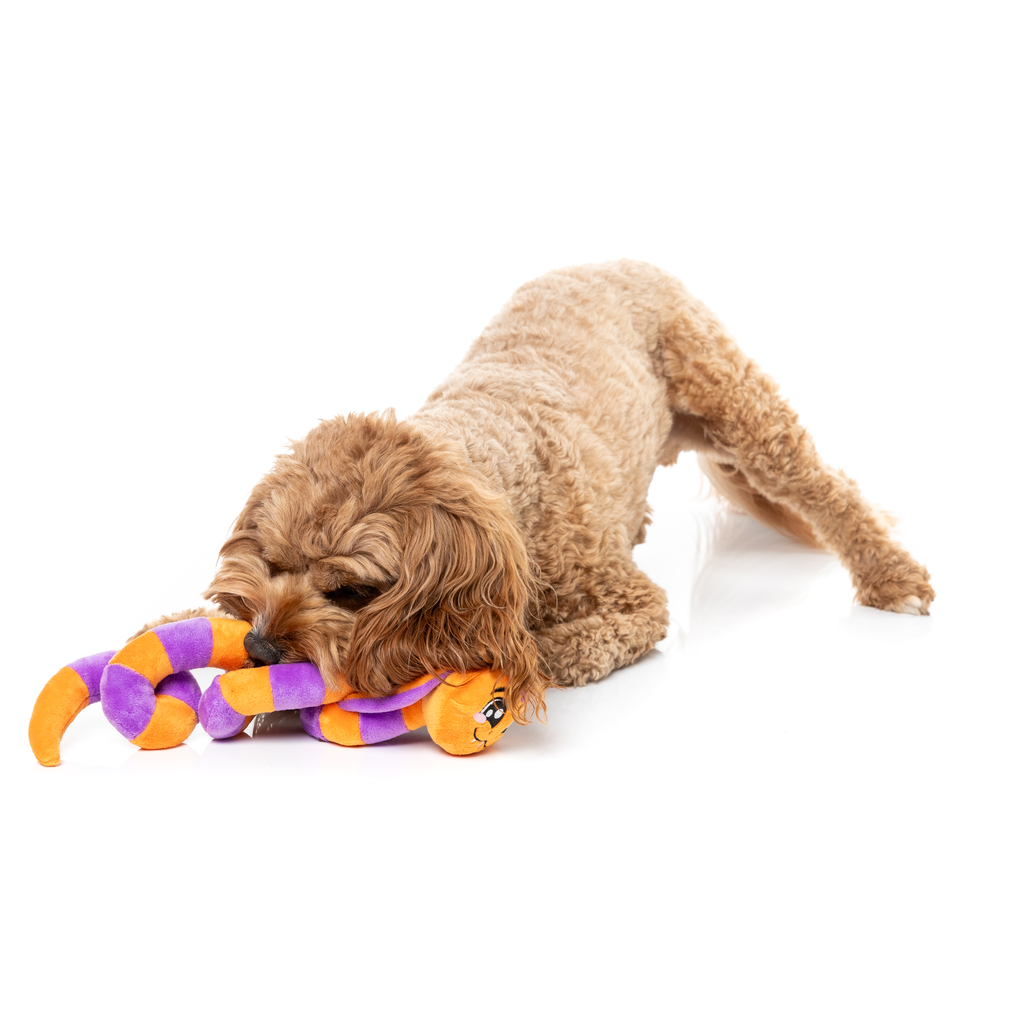 SSS-TEVEN THE SNAKE - JOUET POUR CHIENS