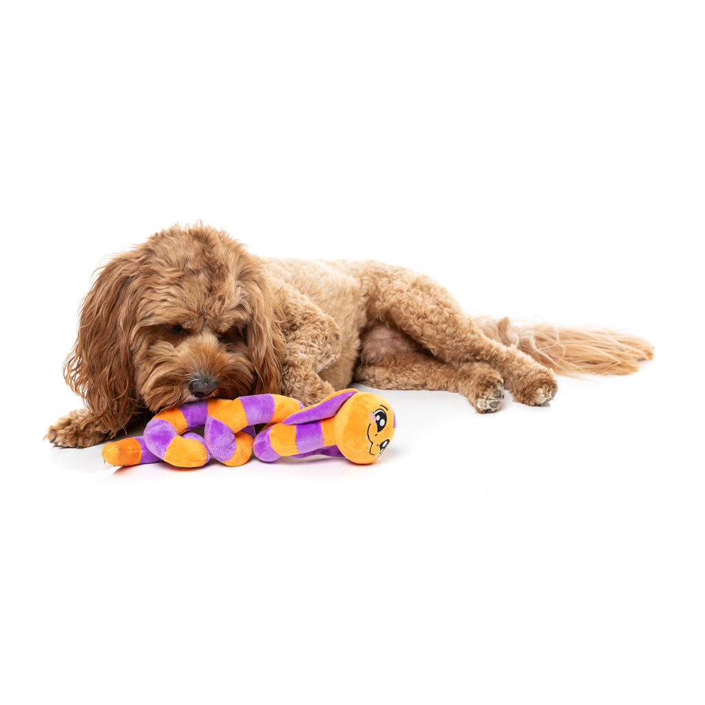 SSS-TEVEN THE SNAKE - JOUET POUR CHIENS