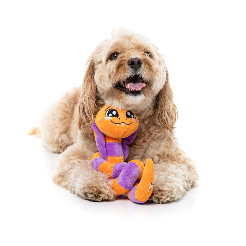 SSS-TEVEN THE SNAKE - JOUET POUR CHIENS