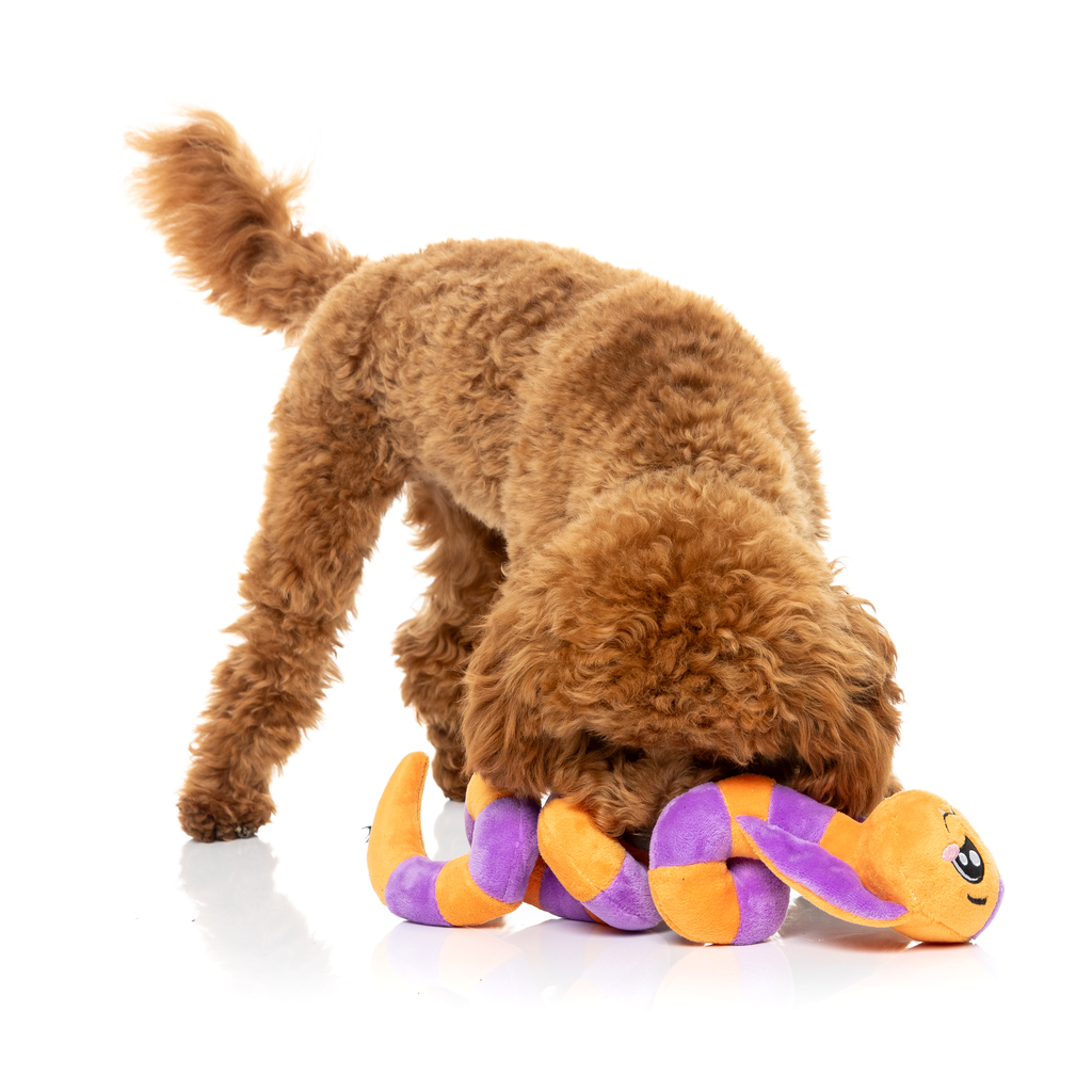 SSS-TEVEN THE SNAKE - JOUET POUR CHIENS
