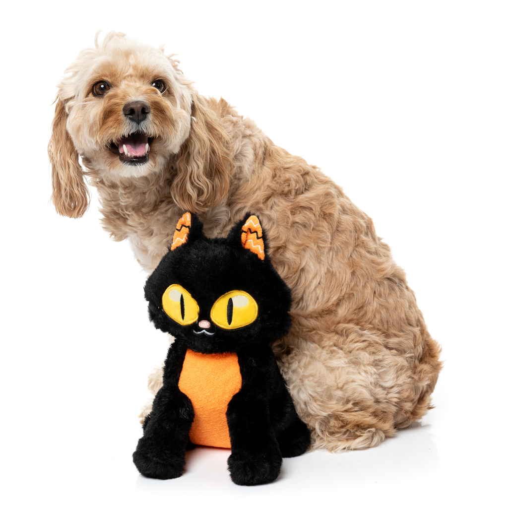 PURRSEPHONE - JOUET POUR CHIENS