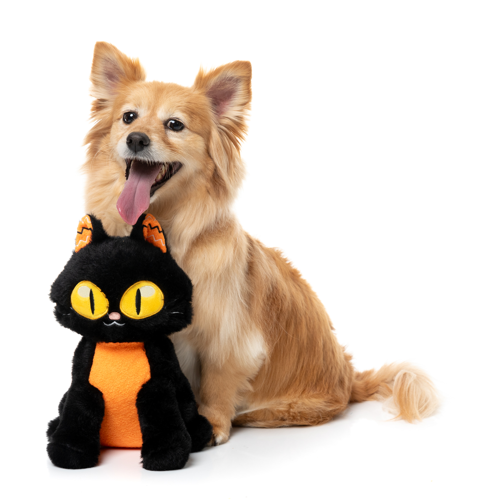 PURRSEPHONE - JOUET POUR CHIENS