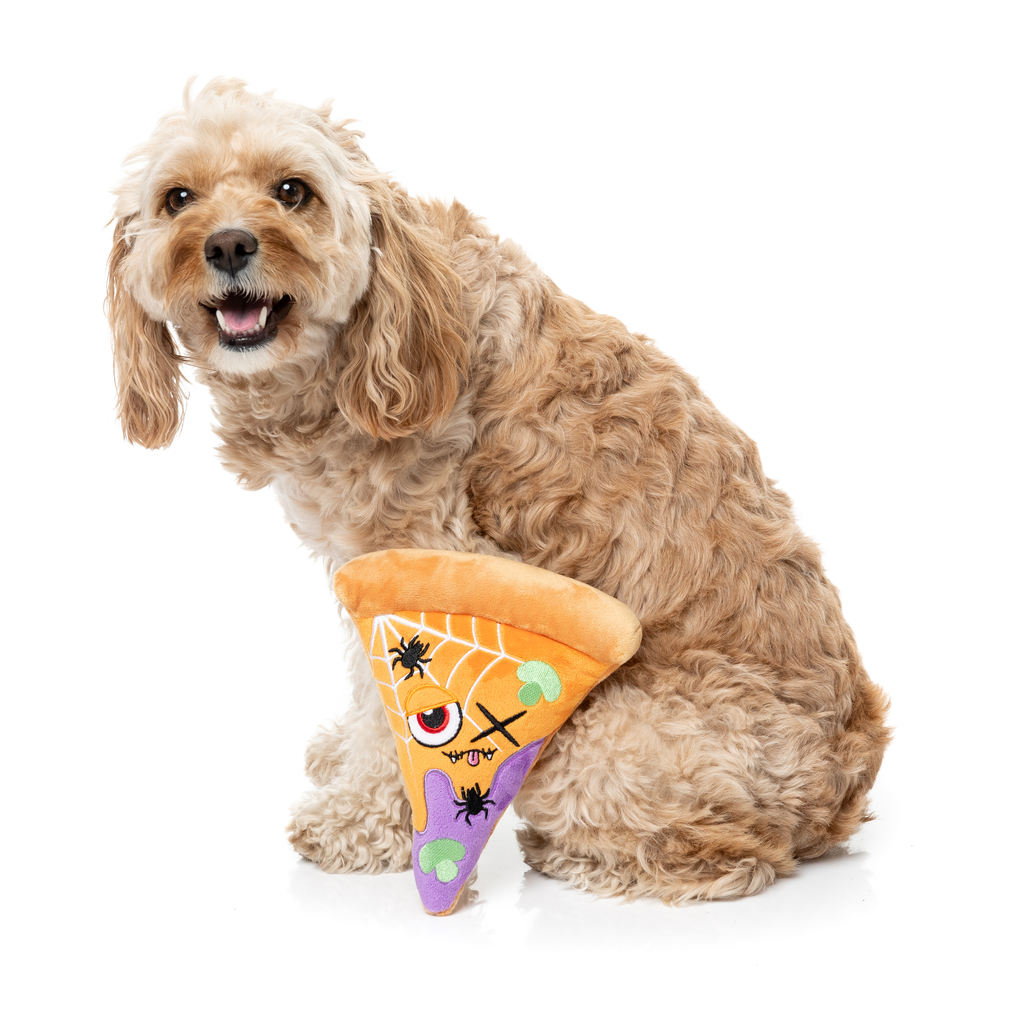 WEB-ERONI PIZZ - JOUET POUR CHIENS