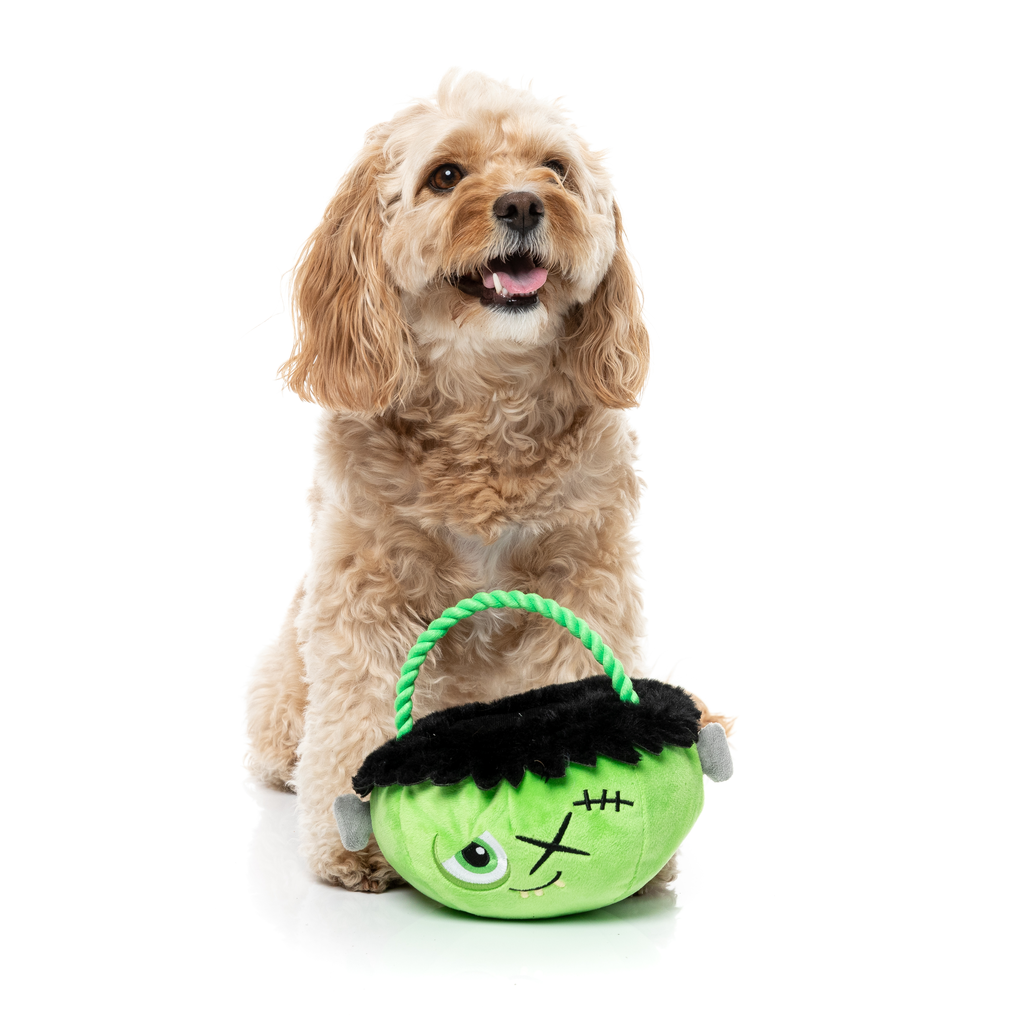 FRANKEN BASKET - JOUET POUR CHIENS