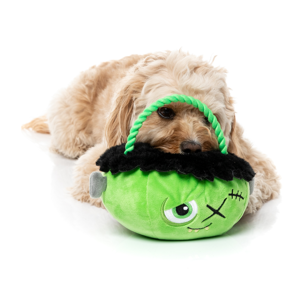 FRANKEN BASKET - JOUET POUR CHIENS