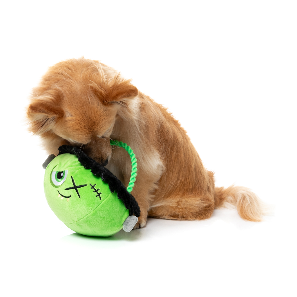 FRANKEN BASKET - JOUET POUR CHIENS