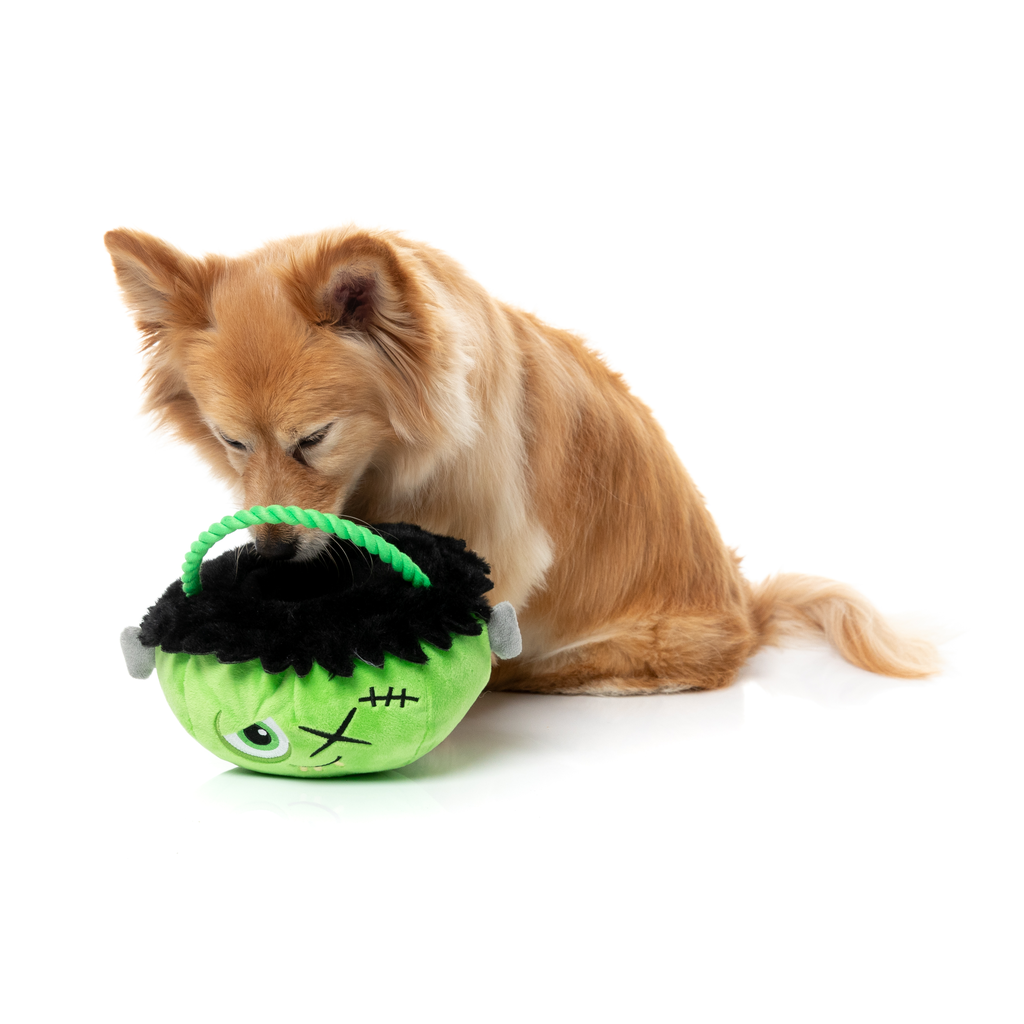 FRANKEN BASKET - JOUET POUR CHIENS