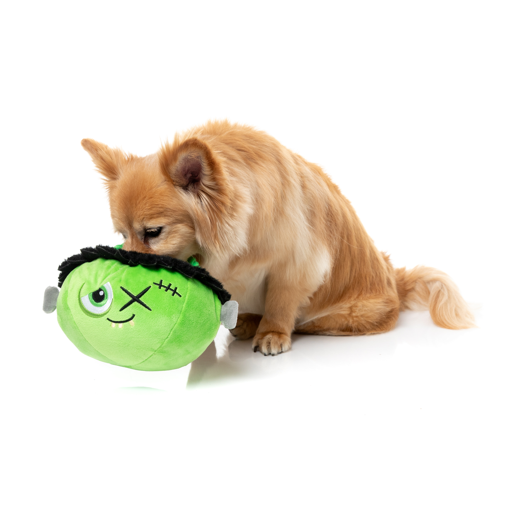 FRANKEN BASKET - JOUET POUR CHIENS