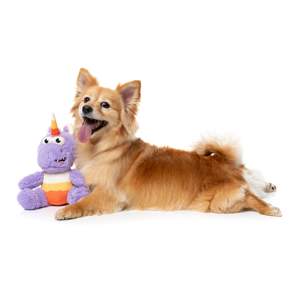 CANDY CORN ELECTRA - JOUET POUR CHIENS