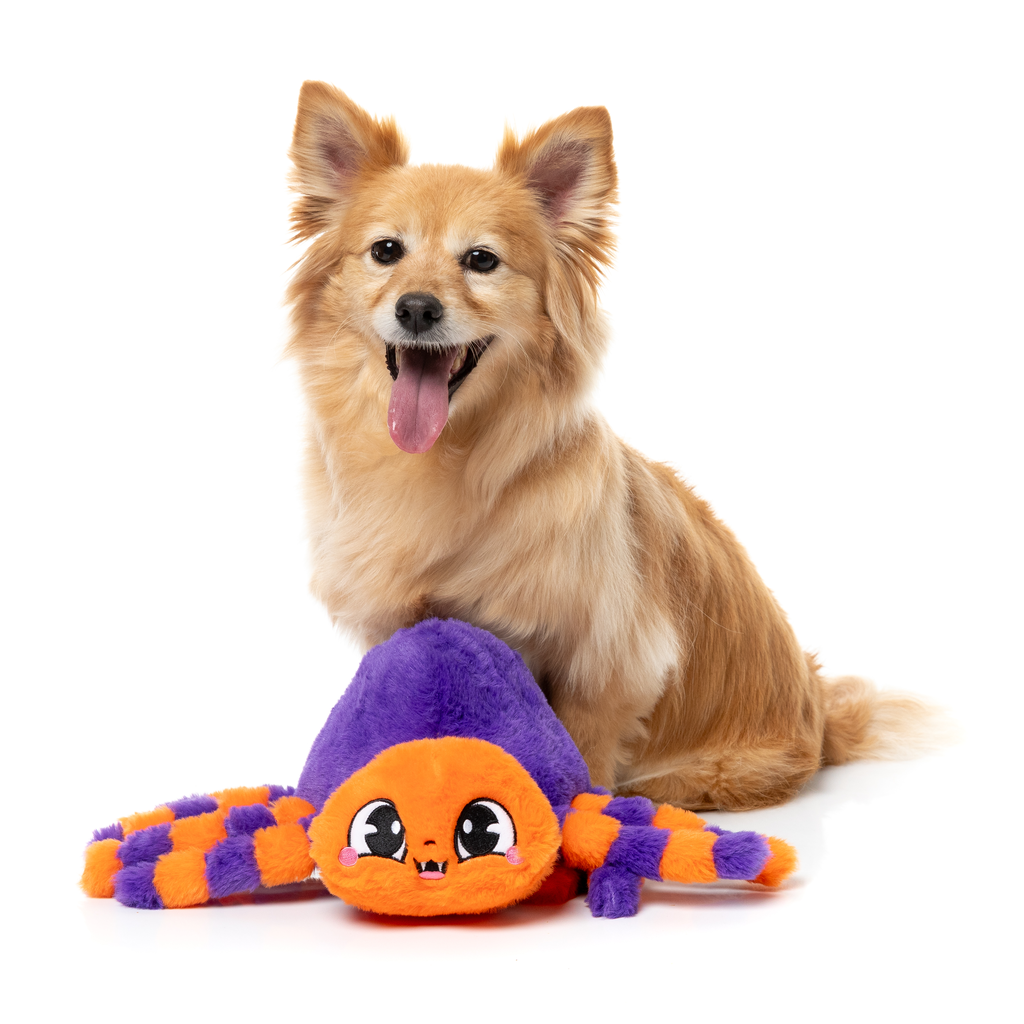 TARANTINA THE SPIDER - JOUET POUR CHIENS
