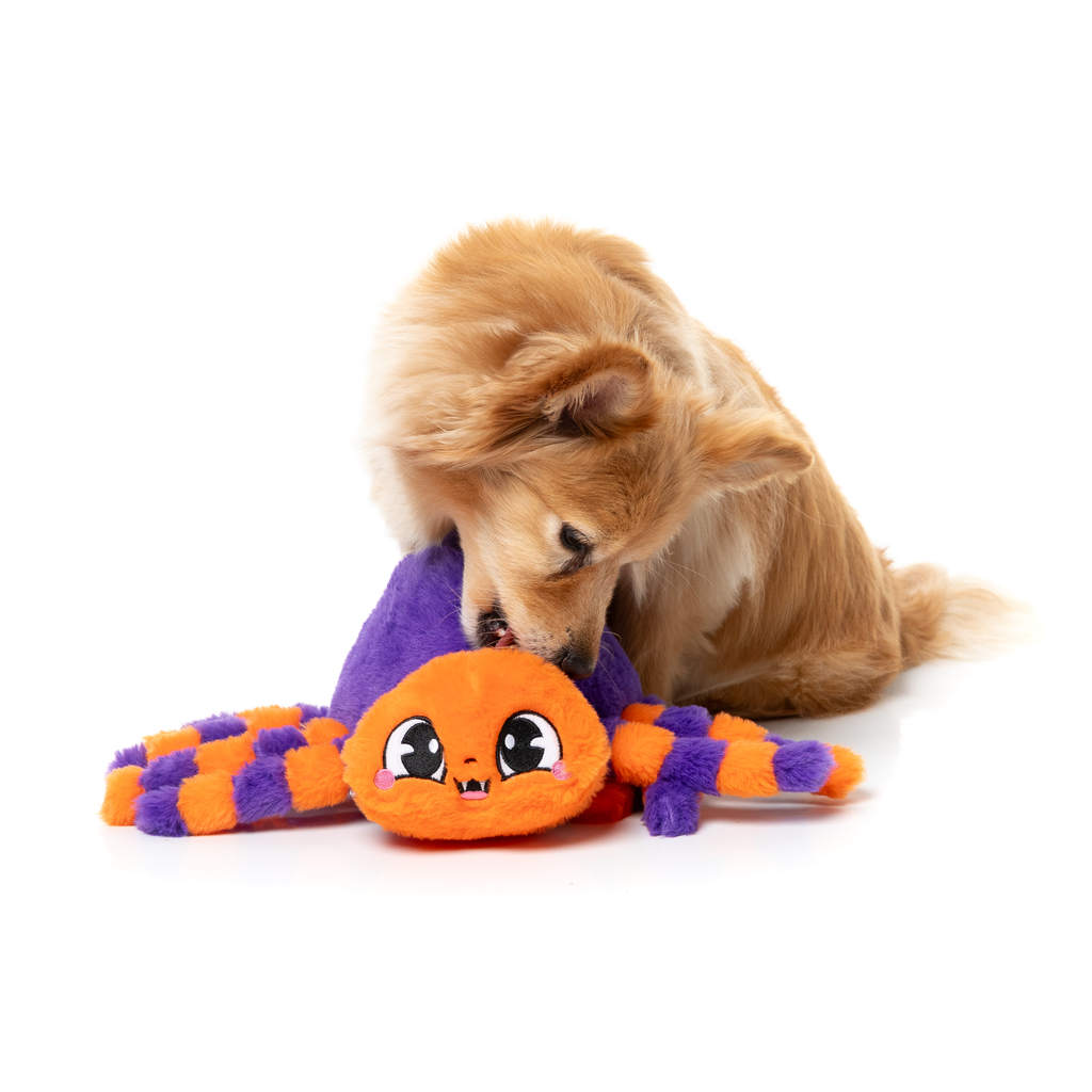 TARANTINA THE SPIDER - JOUET POUR CHIENS