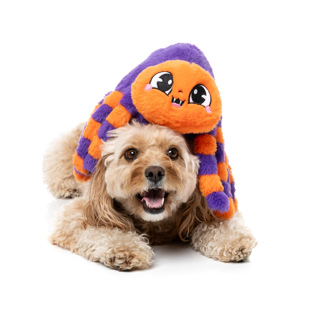 TARANTINA THE SPIDER - JOUET POUR CHIENS