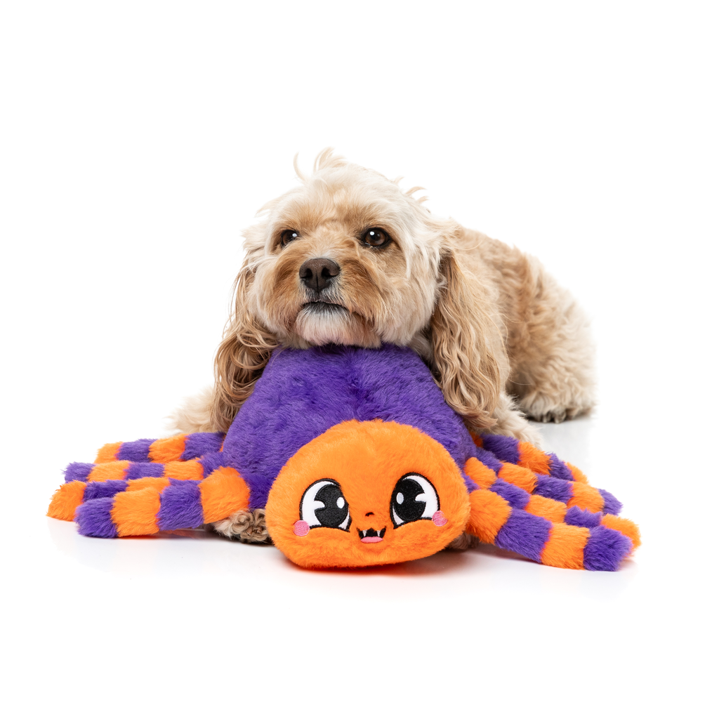 TARANTINA THE SPIDER - JOUET POUR CHIENS
