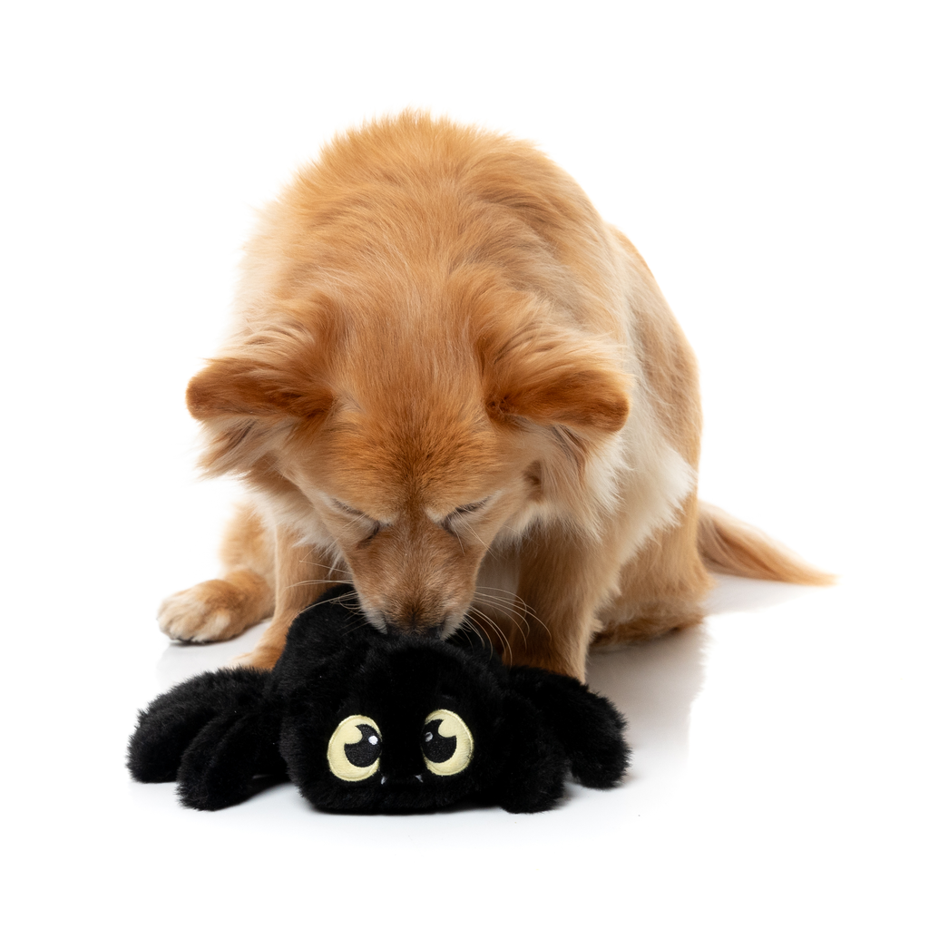 WEBASTIAN THE RED BACK - JOUET POUR CHIENS