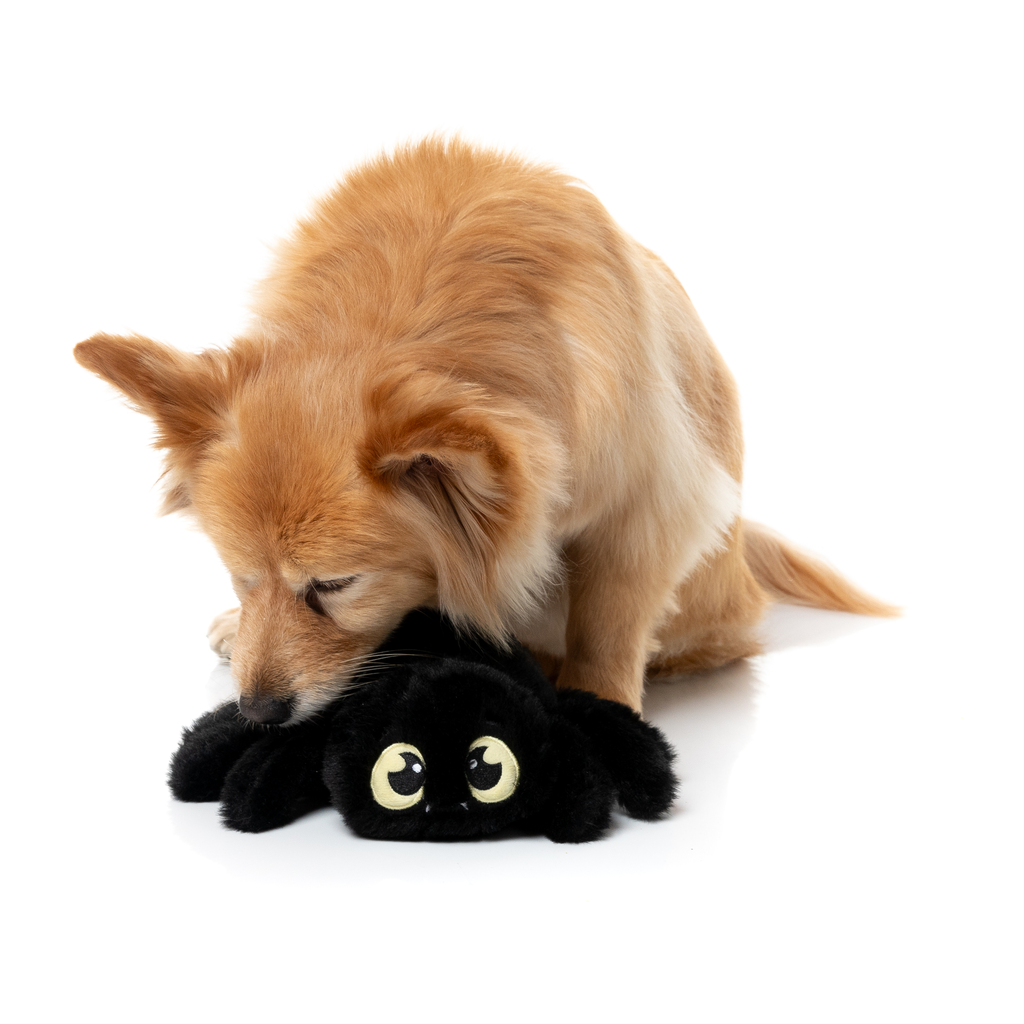 WEBASTIAN THE RED BACK - JOUET POUR CHIENS