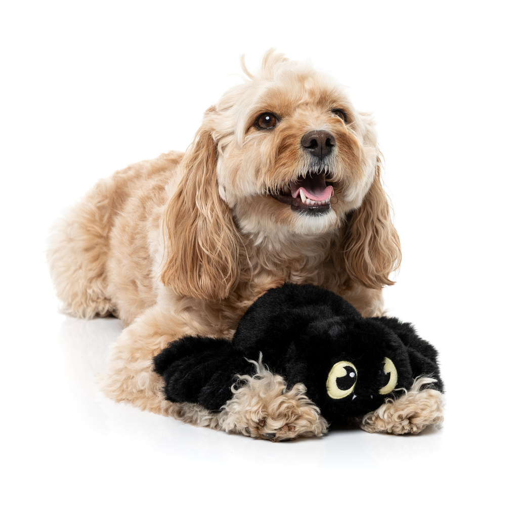 WEBASTIAN THE RED BACK - JOUET POUR CHIENS