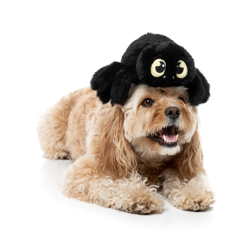 WEBASTIAN THE RED BACK - JOUET POUR CHIENS
